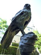 Cortante-scherpzinnig is een bronzen beeld van een torenvalk op een valkeniershandschoen | bronzen beelden en tuinbeelden, figurative bronze sculptures van Jeanette Jansen |