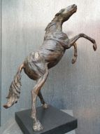 Feroz-fel is steigerend paard van brons | bronzen beelden en tuinbeelden, figurative bronze sculptures van Jeanette Jansen |