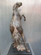 Feroz-fel is steigerend paard van brons | bronzen beelden en tuinbeelden, figurative bronze sculptures van Jeanette Jansen |
