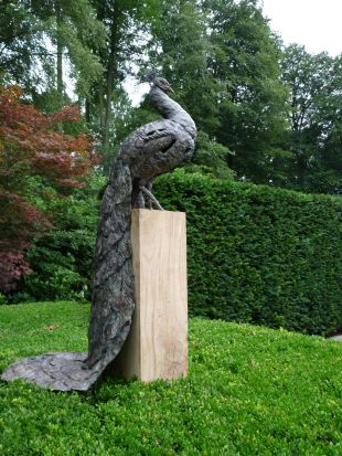 Bronzen beeld van een pauw op ware grootte gemaakt in opdracht.| bronzen beelden en tuinbeelden van Jeanette Jansen |